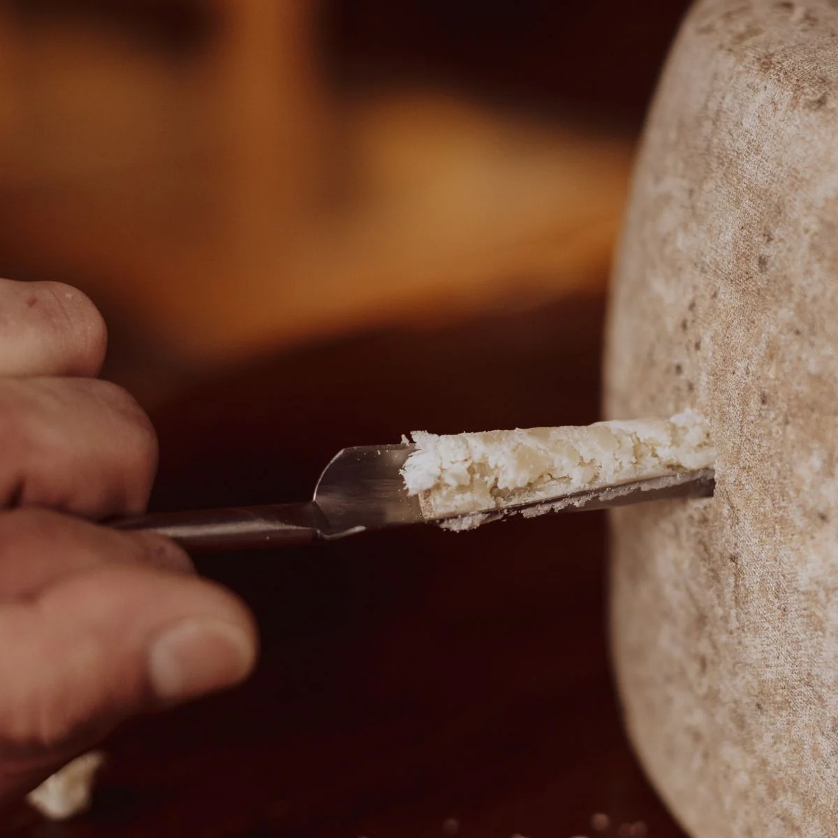 Pack quesos artesanales premiados Tros de Sort - Image 3