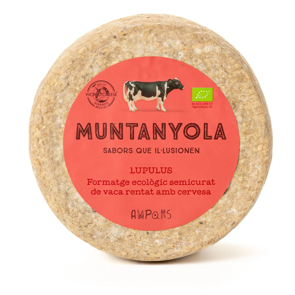 Queso artesano de vaca curado con cerveza (Cuña 185g) - Image 3