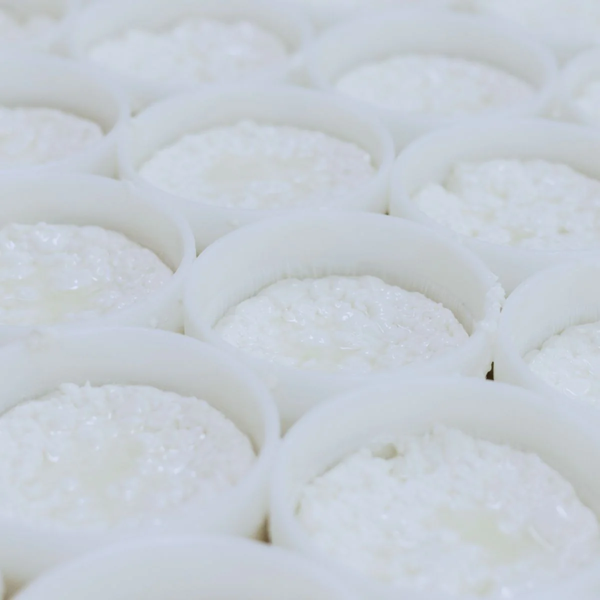 Queso artesano Mini de pasta blanda leche cruda de vaca Tou dels Til.lers (250g) - Image 3